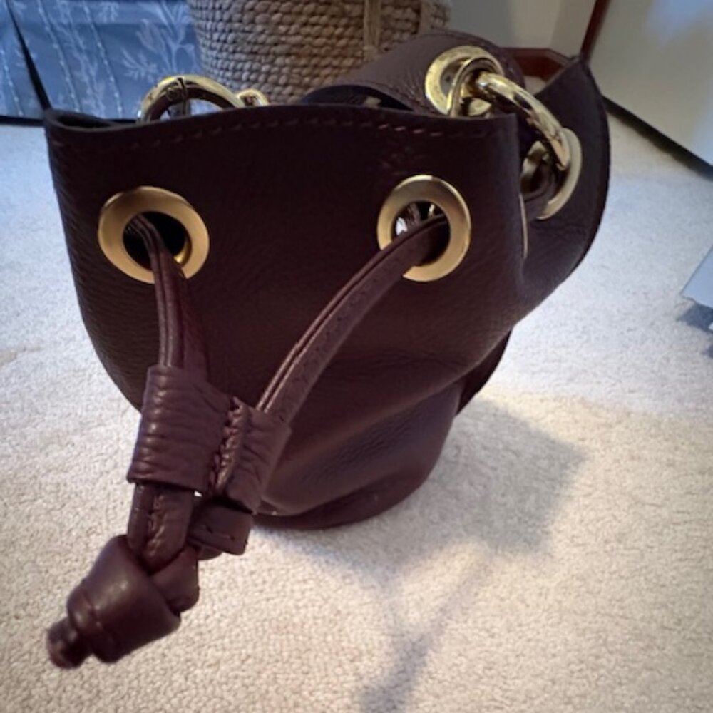 Anna Paola Bucket Bag